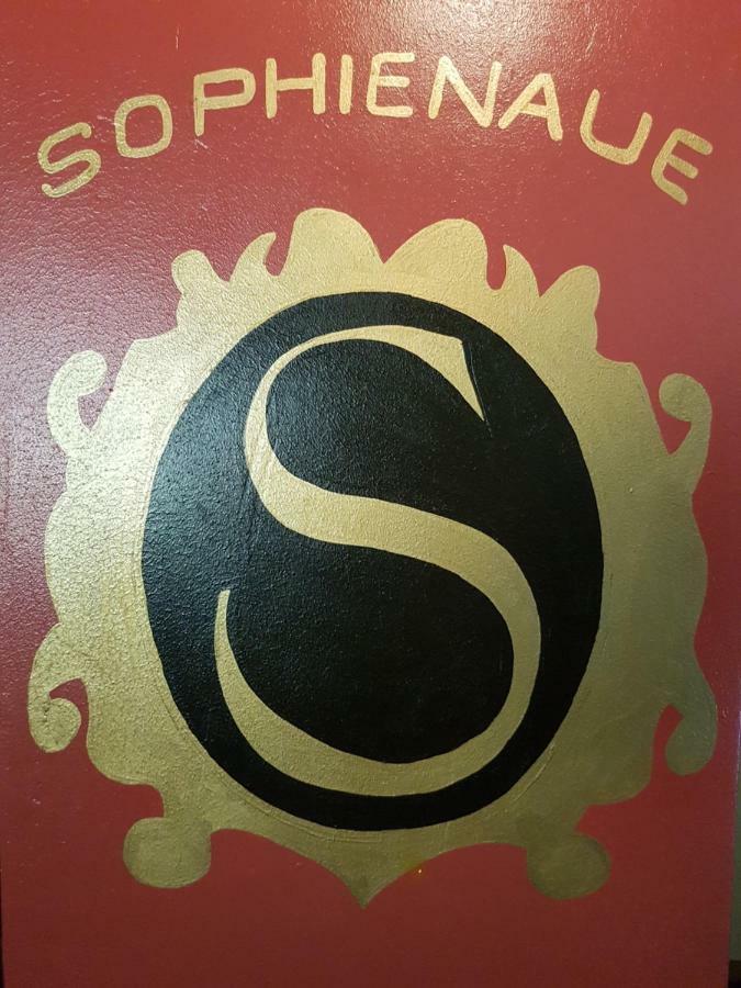 Hotel - Restaurant Sophienaue 아이제나흐 외부 사진